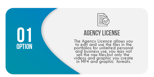 Agency-license-Option_1